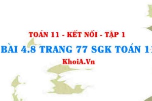 Bài 4.8 trang 77 SGK Toán 11 tập 1 Kết nối tri thức